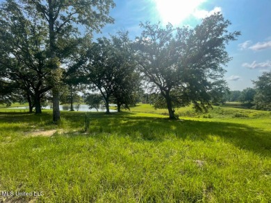 (private lake, pond, creek) Lot For Sale in Lucedale Mississippi