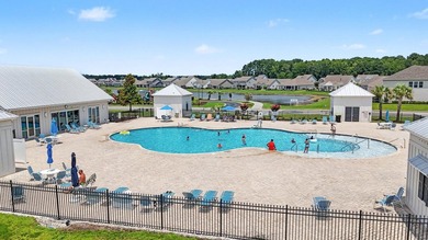 RARE -MAIN LEVEL PRIMARY SUITE ! Boasting over 3200 sq ft of - photo 31