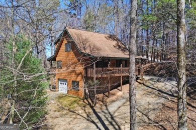 Lake Home For Sale in Ellijay, Georgia