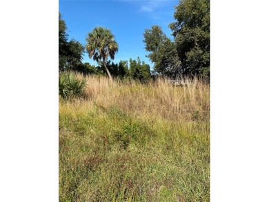 Northport Waterway Lakes and Canals Lot For Sale in North Port Florida