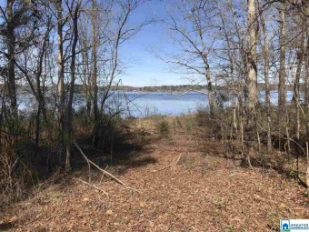 Lake Mitchell Lot For Sale in Shelby Alabama