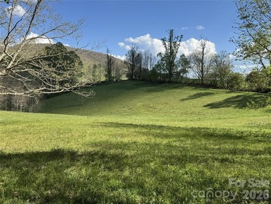 (private lake, pond, coastal) Acreage For Sale in Todd North Carolina