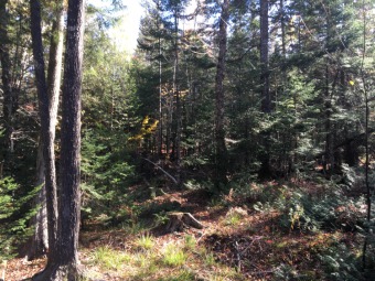 Sebec Lake Lot For Sale in Dover Foxcroft Maine