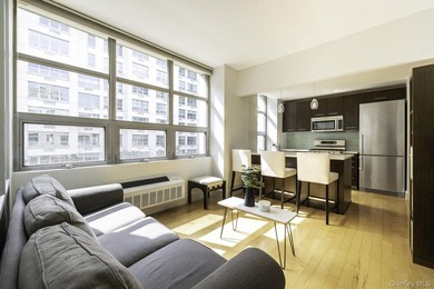Welcome to refined loft living at 5-26 47th Road in the heart of - photo 1