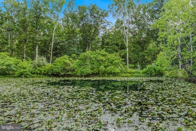 This custom Cape Cod offers approximately 2,600 square feet set - photo 43