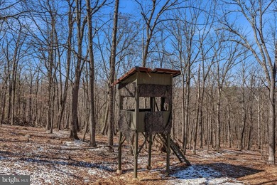 This custom Cape Cod offers approximately 2,600 square feet set - photo 49