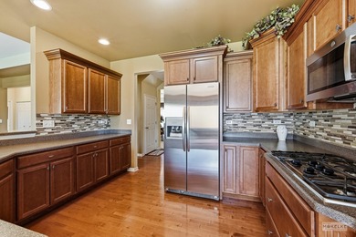 Absolutely stunning model quality home with all the bells and - photo 12