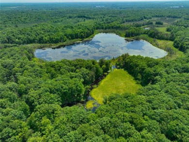 Lake Acreage For Sale in Holcombe, Wisconsin