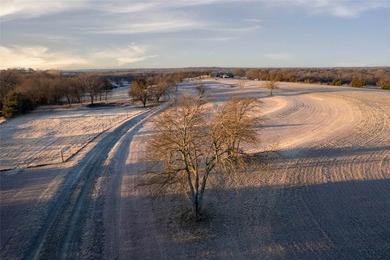 Located in the growing North Texas corridor, this exceptional 82 - photo 4