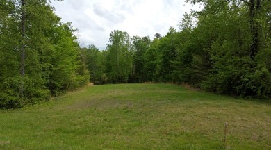 (private lake, pond, coastal) Acreage For Sale in Providence North Carolina