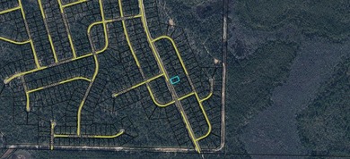 Looking for the perfect homesite in a community that offers golf - photo 12
