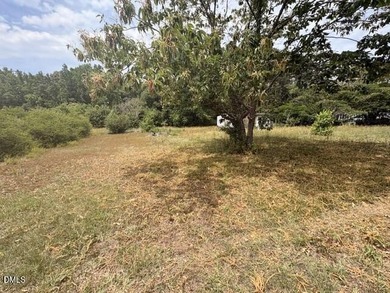 Older farmhouse in country on over 2 acres!! Additional septic - photo 4