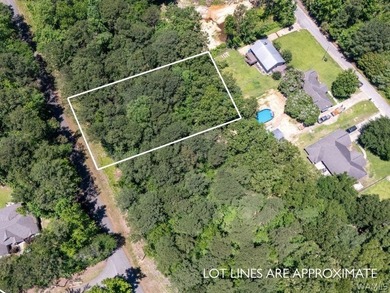 Welcome to Lakecove Estates, where your dream home awaits! This - photo 3