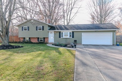 Lake Erie - Lake County Home Sale Pending in Mentor Ohio