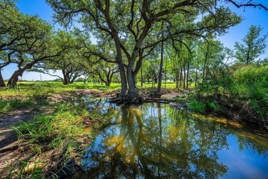 176 acres in Llano County, Texas In the heart of Llano County - photo 5