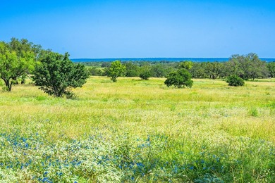 176 acres in Llano County, Texas In the heart of Llano County - photo 7