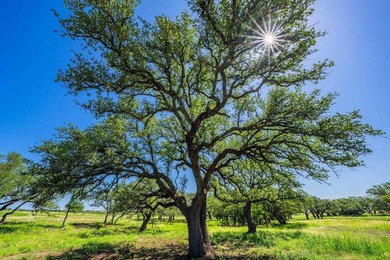 176 acres in Llano County, Texas In the heart of Llano County - photo 8