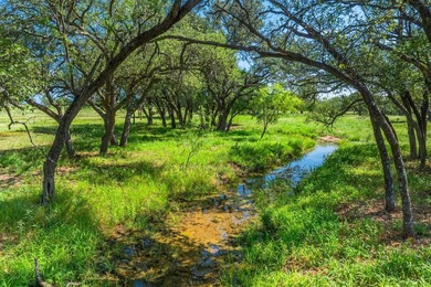 176 acres in Llano County, Texas In the heart of Llano County - photo 10