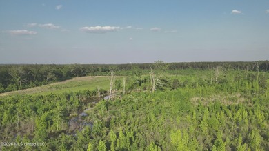 Build the Next Premier Community in One of Mississippi's - photo 11