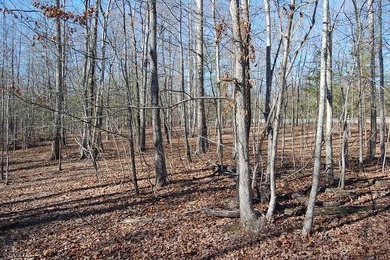 Located within a beautiful, gated community, high atop the - photo 12