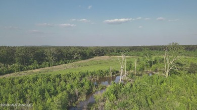 Build the Next Premier Community in One of Mississippi's - photo 12