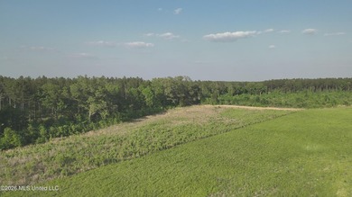 Build the Next Premier Community in One of Mississippi's - photo 13