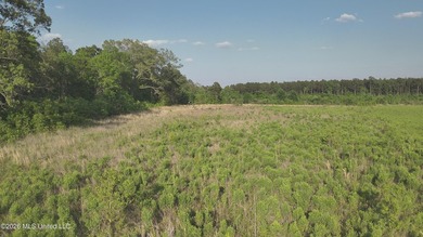 Build the Next Premier Community in One of Mississippi's - photo 15