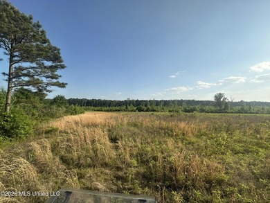 Build the Next Premier Community in One of Mississippi's - photo 16