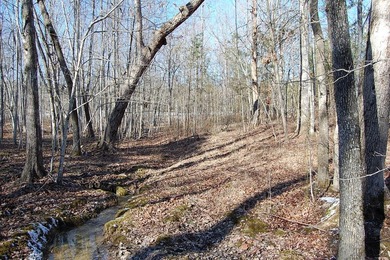 Located within a beautiful, gated community, high atop the - photo 17
