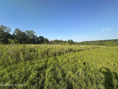 Build the Next Premier Community in One of Mississippi's - photo 17