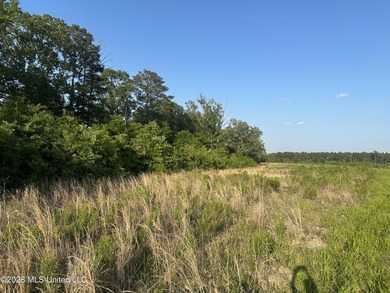 Build the Next Premier Community in One of Mississippi's - photo 18