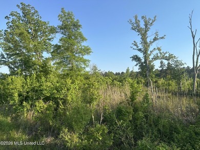 Build the Next Premier Community in One of Mississippi's - photo 19
