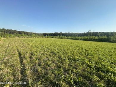 Build the Next Premier Community in One of Mississippi's - photo 20