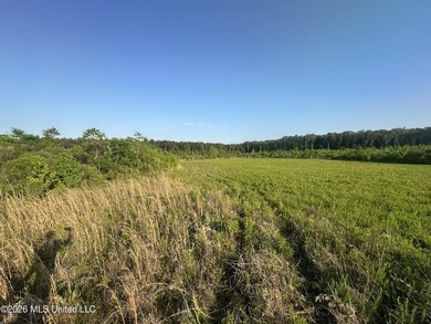 Build the Next Premier Community in One of Mississippi's - photo 21