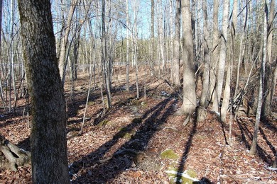 Located within a beautiful, gated community, high atop the - photo 22