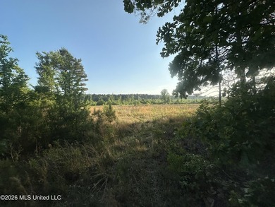 Build the Next Premier Community in One of Mississippi's - photo 22