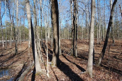Located within a beautiful, gated community, high atop the - photo 23