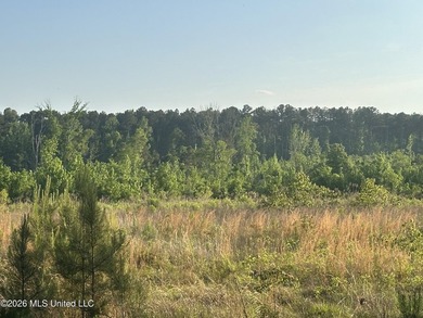 Build the Next Premier Community in One of Mississippi's - photo 23