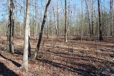 Located within a beautiful, gated community, high atop the - photo 24