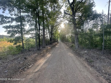 Build the Next Premier Community in One of Mississippi's - photo 24