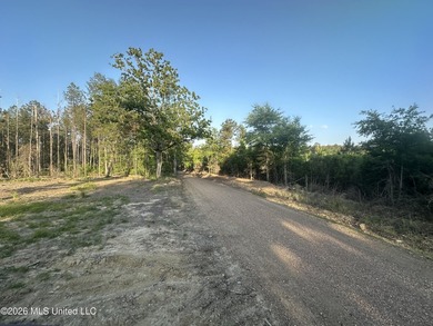 Build the Next Premier Community in One of Mississippi's - photo 25