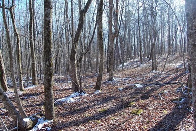 Located within a beautiful, gated community, high atop the - photo 26
