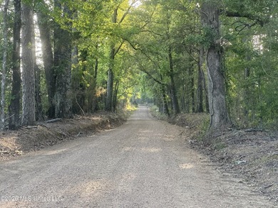 Build the Next Premier Community in One of Mississippi's - photo 26