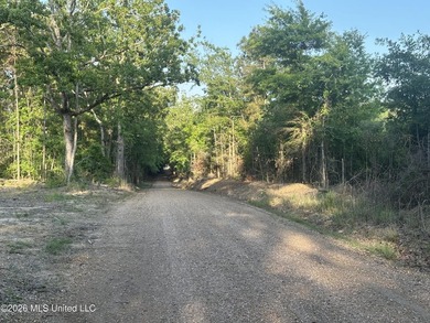 Build the Next Premier Community in One of Mississippi's - photo 27