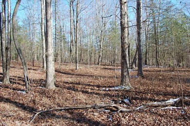 Located within a beautiful, gated community, high atop the - photo 28