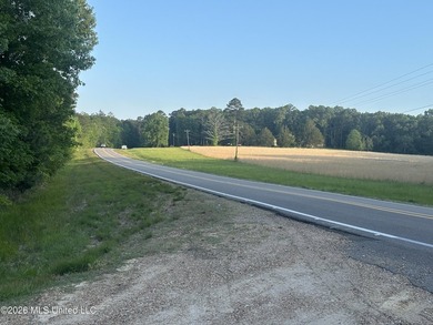 Build the Next Premier Community in One of Mississippi's - photo 28