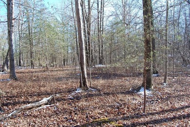 Located within a beautiful, gated community, high atop the - photo 29