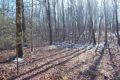 Located within a beautiful, gated community, high atop the - photo 30