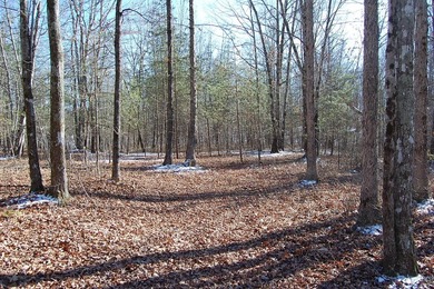 Located within a beautiful, gated community, high atop the - photo 32