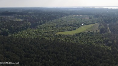 Build the Next Premier Community in One of Mississippi's - photo 32